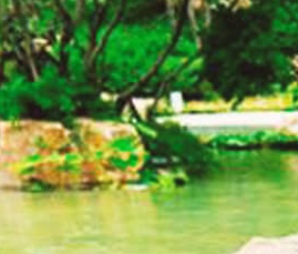 公園景觀設計如何做好綠化工作